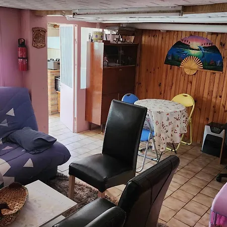 En Sous-sol Avec Jardin Apartment